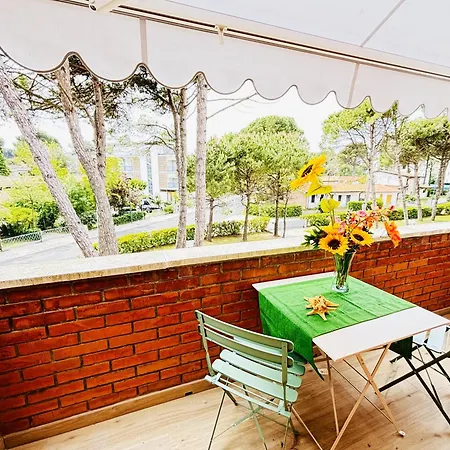 New Splendid * ביביונה